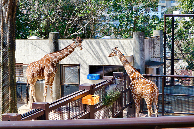 動物園・水族館の実態